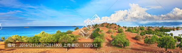 全景島