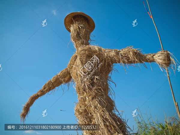 稻草做的Scarecrow
