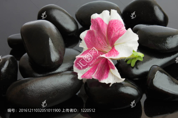 黑寶石溫泉