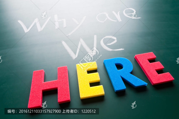 為什么我們在這里