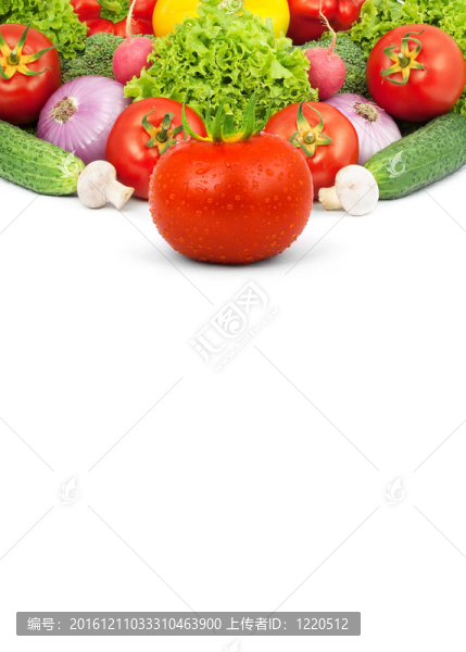 蔬菜