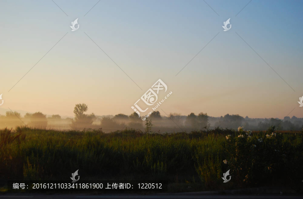 路邊一片朝陽上的霧