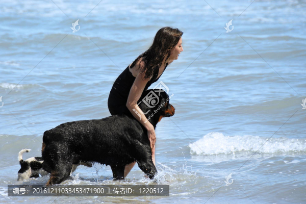 海中的羅特韋爾犬和女孩
