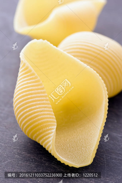 conchiglioni