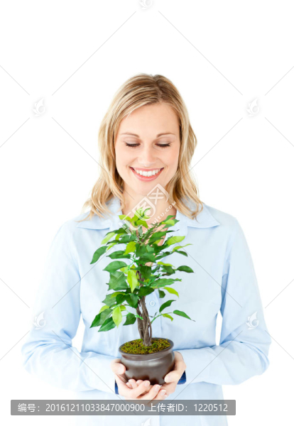 一個有魅力的女商人拿著植物的肖像