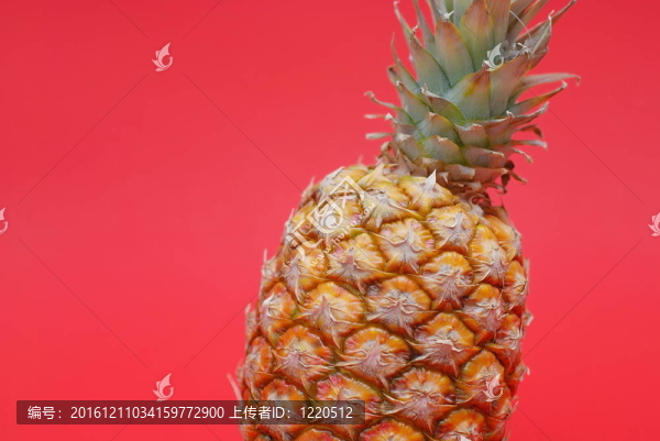 紅色背景上的菠蘿