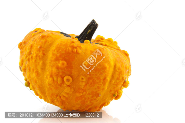 南瓜和南瓜