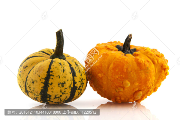 南瓜和南瓜