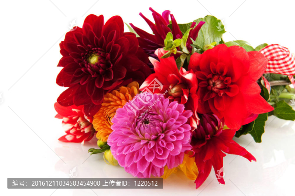 節(jié)日花束大麗花