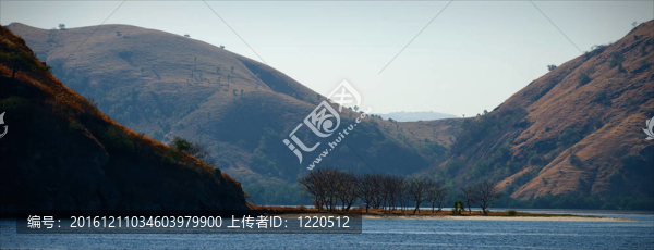 科莫多島。