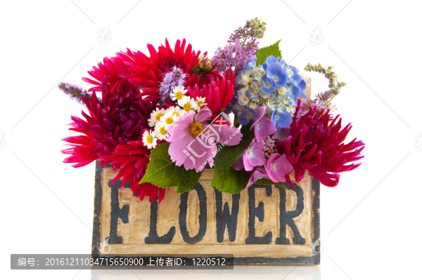 花園里的花