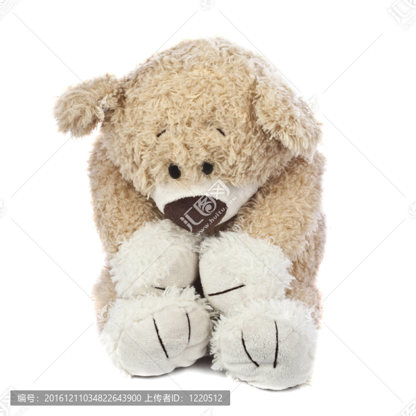 悲傷孤獨的Teddy,Bear
