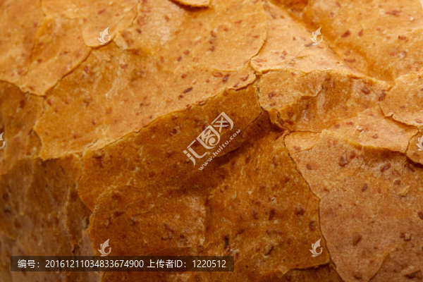 長(zhǎng)面包