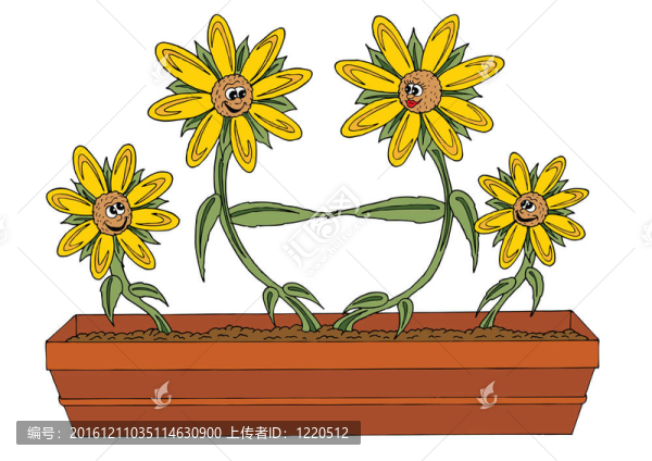 Flowers的家