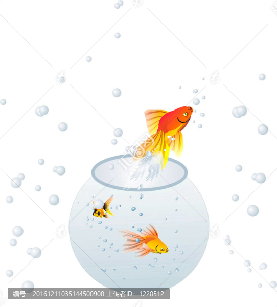 水中出魚