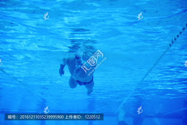 游泳池的水下