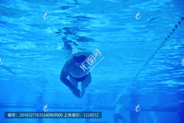 游泳池的水下