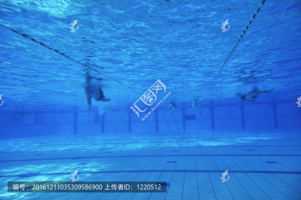 游泳池的水下