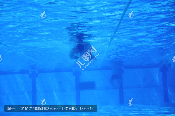 游泳池的水下