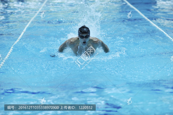 游泳池