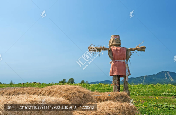 在農(nóng)田的稻草人