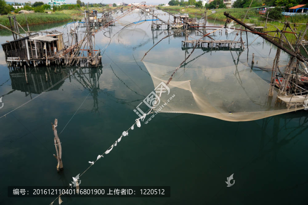沉默與和諧