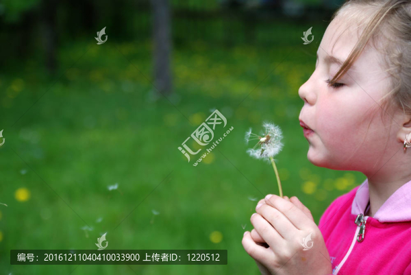 可愛的女孩吹蒲公英