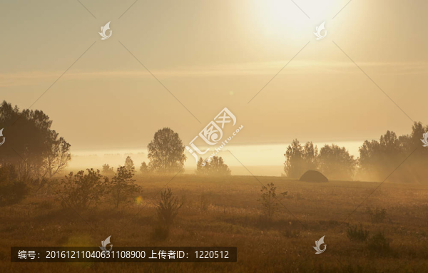 夏天的早晨
