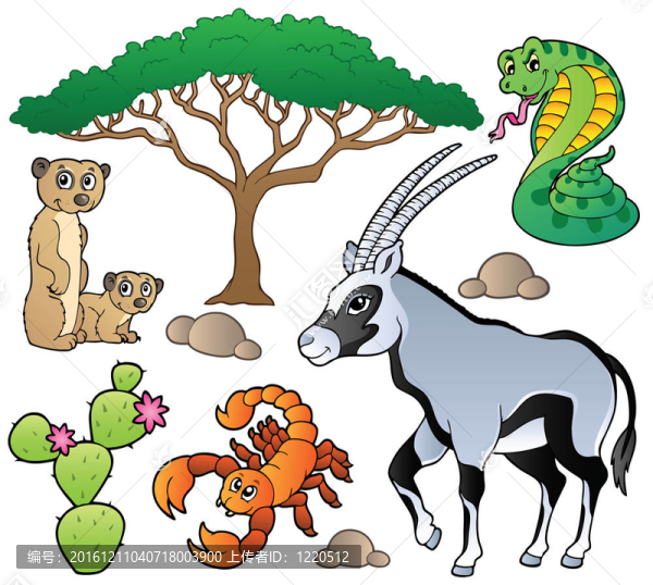 薩凡納的動物收集1