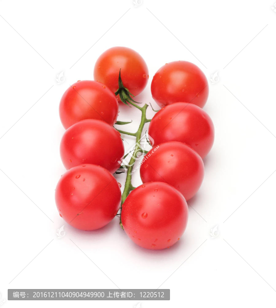 鮮紅色的西紅柿