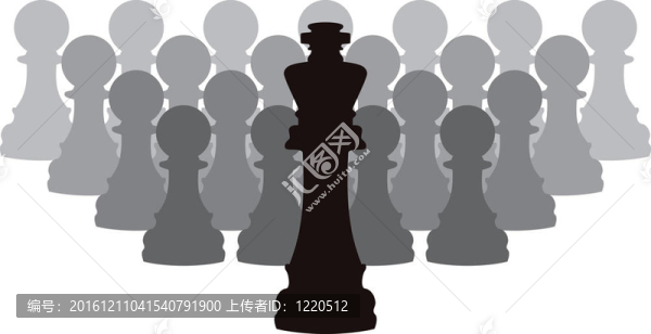一個(gè)國(guó)王和質(zhì)押載體的棋子