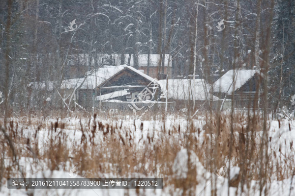 河岸上的小屋；暴風雪