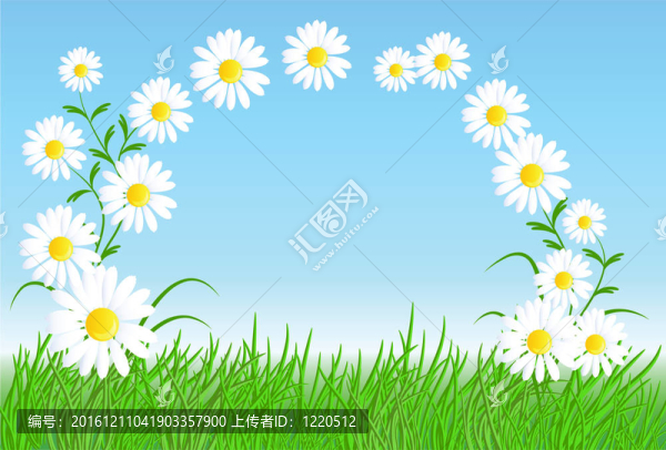 綠色的草camomiles