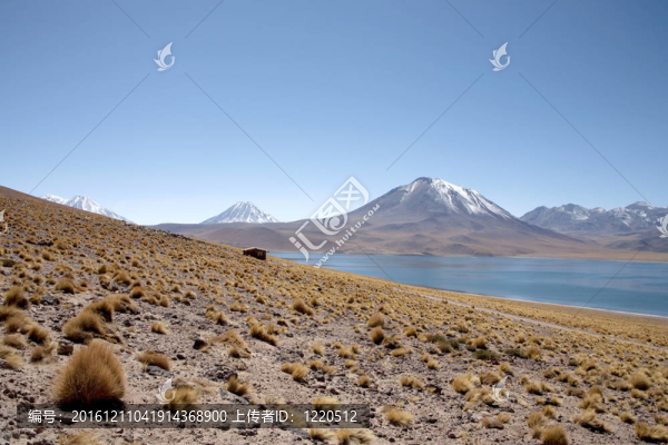 在阿塔卡馬沙漠附近的Lagunas,Miscanti和Meniques的安第斯山脈