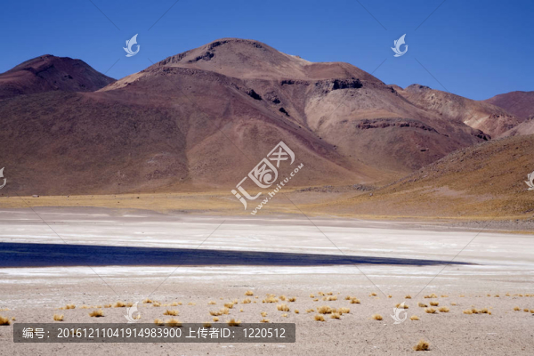 在阿塔卡馬沙漠附近的Lagunas,Miscanti和Meniques的安第斯山脈