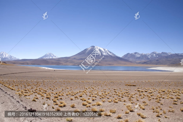 在阿塔卡馬沙漠附近的Lagunas,Miscanti和Meniques的安第斯山脈