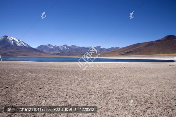 在阿塔卡馬沙漠附近的Lagunas,Miscanti和Meniques的安第斯山脈