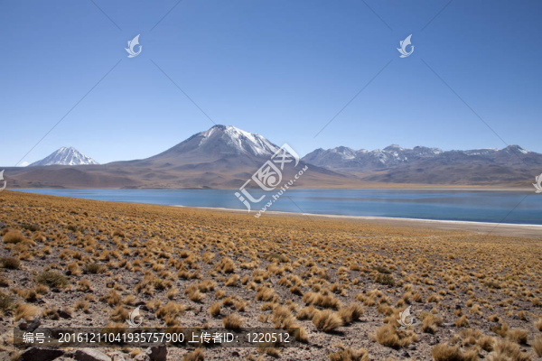 在阿塔卡馬沙漠附近的Lagunas,Miscanti和Meniques的安第斯山脈