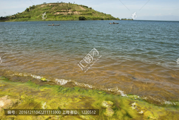 長(zhǎng)滿青苔的湖邊