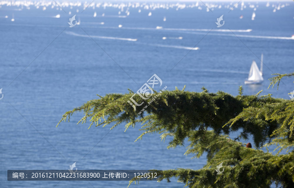 巴塞羅那2010；的里雅斯特帆船賽