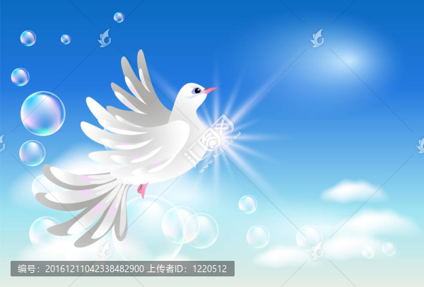 云中的鴿子