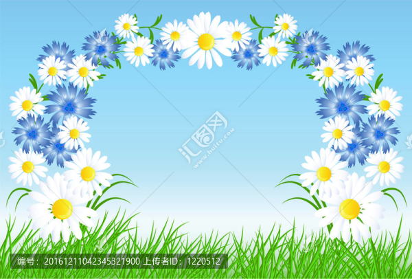 Cornflowers；綠色的草camomiles