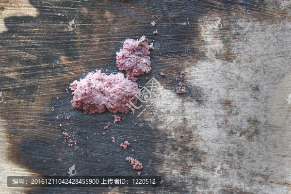 山毛櫸jellydisc