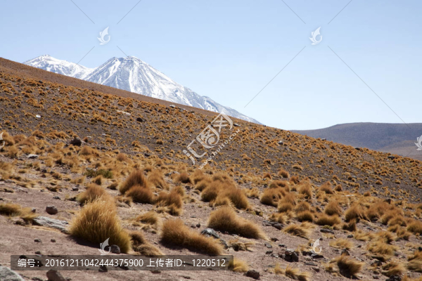 在阿塔卡馬沙漠附近的Lagunas,Miscanti和Meniques的安第斯山脈