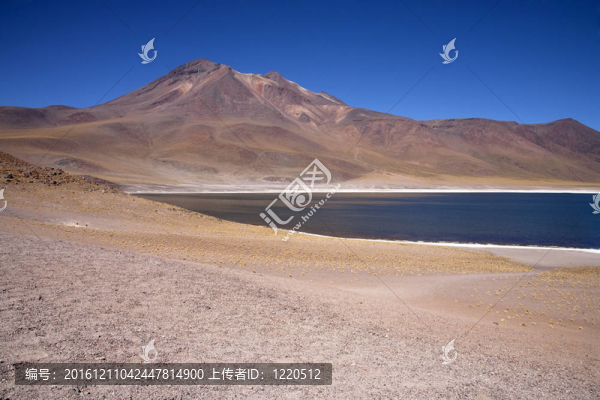 在阿塔卡馬沙漠附近的Lagunas,Miscanti和Meniques的安第斯山脈