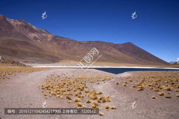 在阿塔卡馬沙漠附近的Lagunas,Miscanti和Meniques的安第斯山脈
