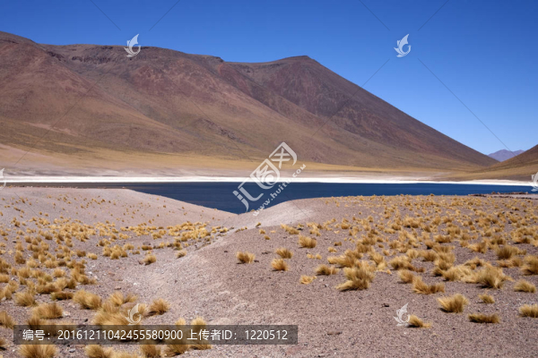 在阿塔卡馬沙漠附近的Lagunas,Miscanti和Meniques的安第斯山脈