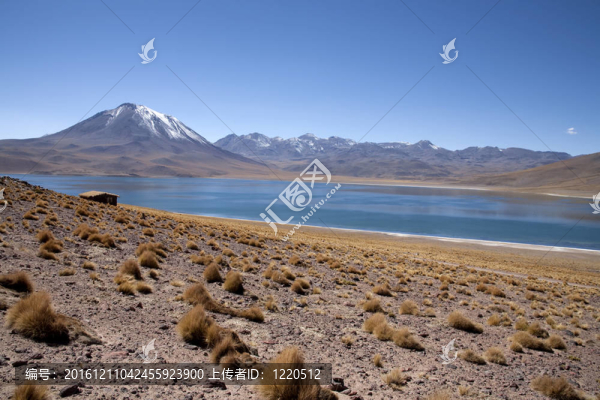 在阿塔卡馬沙漠附近的Lagunas,Miscanti和Meniques的安第斯山脈