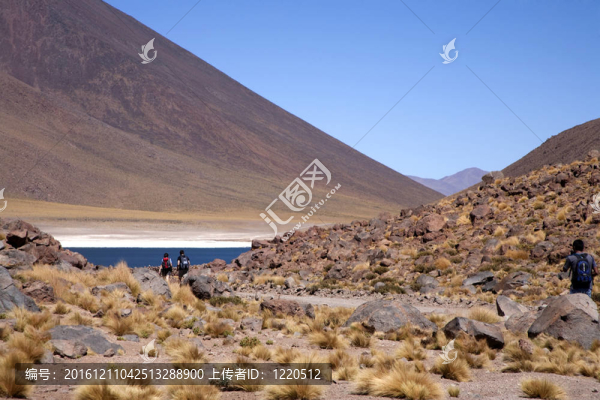 在阿塔卡馬沙漠附近的Lagunas,Miscanti和Meniques的安第斯山脈