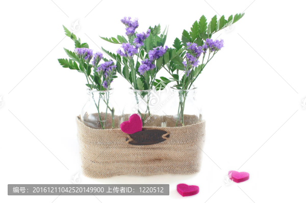 花的愛